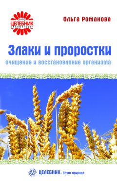 Ольга Романова - Целительные соки от 100 болезней