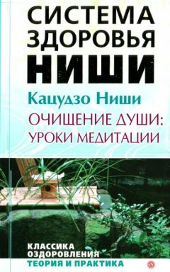 Кацудзо Ниши - Очищение души: уроки медитации