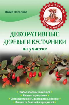 Галина Серикова - Чудо-урожай на 6 сотках