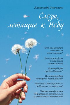 Андрей Ткачев - Ступени к Небу. Как научиться любить людей