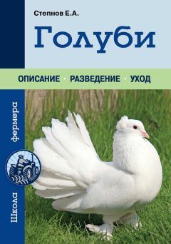 Артем Винюков - Декоративное и мясное голубеводство