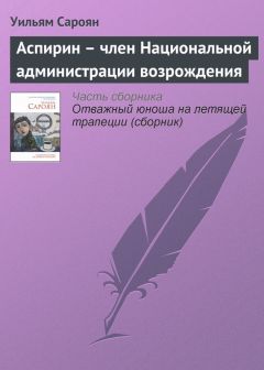 Уильям Сароян - Виноградники большой долины