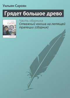 Уильям Сароян - Любовь, смерть, самопожертвование и тому подобное