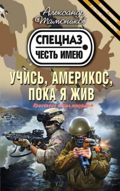 Александр Тамоников - Солдаты необъявленной войны