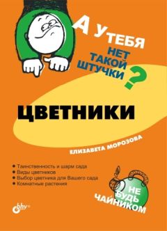 Елена Юрова - Блеск и нищета бижутерии. Повседневные украшения в России и СССР, 1880–1980 годы