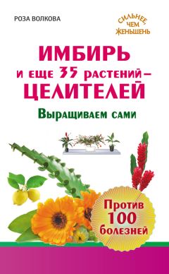 Николай Семелев - Тайны уссурийского женьшеня