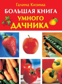 Галина Кизима - Большая книга умного дачника