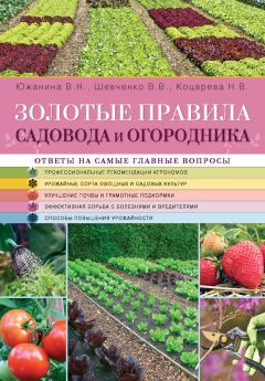 Евгения Валягина-Малютина - Сад и огород круглый год