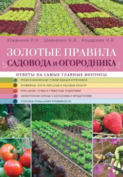 Надежда Коцарева - Золотые правила садовода и огородника