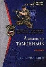 Александр Тамоников - Штурмовая Бригада