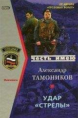 Александр Тамоников - Удар «Стрелы»