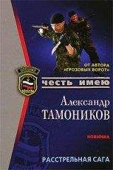 Александр Тамоников - Служили два товарища