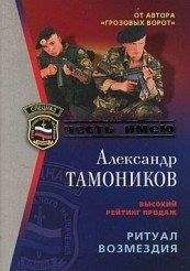 Александр Тамоников - Ритуал возмездия