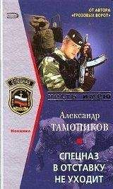 Александр Тамоников - Все - за одного