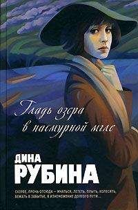 Дина Рубина - Гладь озера в пасмурной мгле (сборник)