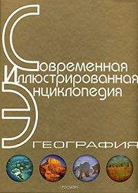 Георгий Багдыков - Энциклопедия резервных возможностей человека