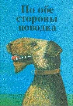 Константин Ткаченко - Бездомные и бродячие собаки