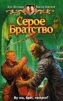 Константин Березин - Время Ворона. Перерождение