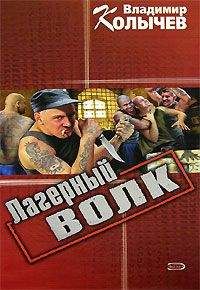 Владимир Колычев - Брат мой, враг мой