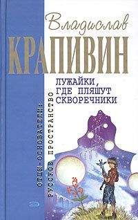 Владислав Крапивин - Бабочка на штанге (Стальной волосок-3)