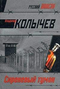 Владимир Колычев - Ночная бабочка. Кто же виноват?