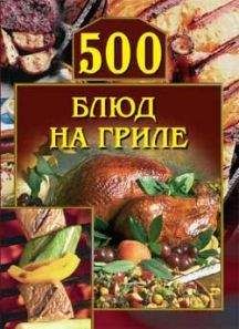 Анастасия Красичкова - 500 блюд на гриле