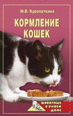 Джерри Хопкинс - Экстремальная кухня: Причудливые и удивительные блюда, которые едят люди