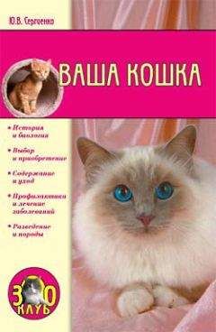 Екатерина Константинова - Домашние кошки