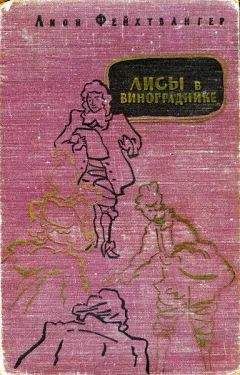 Лион Фейхтвангер - Гойя, или Тяжкий путь познания
