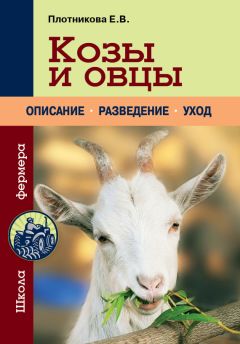Елена Плотникова - Козы и овцы