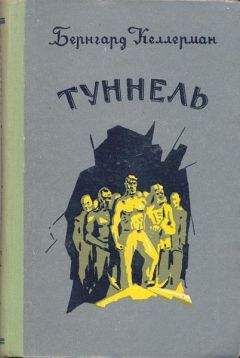 Владимир Соколовский - Последний сын дождя