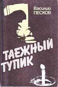 Владимир Цветов - Пятнадцатый камень сада Рёандзи