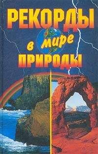 Василий Веденеев - 100 великих курьезов истории