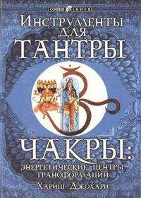 Александр Нептунов - Избранник духа Тантры (том 1)