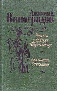 Анатолий Виноградов - Черный консул