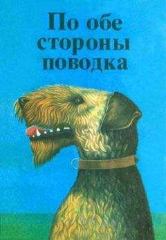 Джой Адамсон - Пятнистый сфинкс. Пиппа бросает вызов (с иллюстрациями)