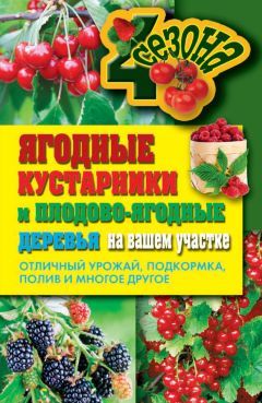 Ольга Николаева - Ягодные кустарники и плодово-ягодные деревья на вашем участке. Отличный урожай, подкормка, полив и многое другое