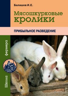 Андрей Лапин - Выращивание кроликов. Как содержать, разводить, лечить – советы профессионалов. Лучшие породы