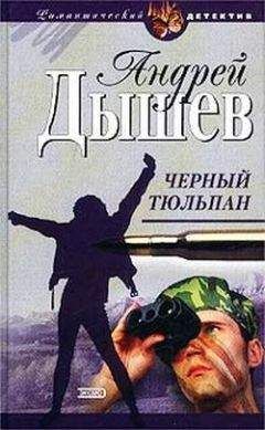 Андрей Дышев - Зеркало для героя