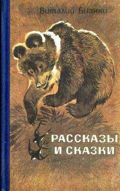Виталий Бианки - О смешных зайчиках (сборник)