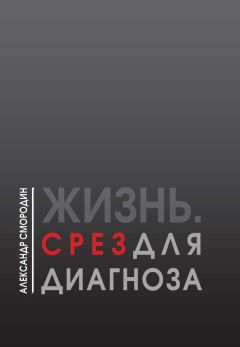 Александр Стрекалов - П. П. Шмидт