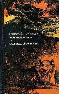 Григорий Полянкер - Деражня – Берлин