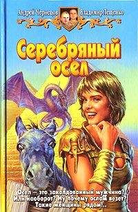 Андрей Чернецов - Серебряный осел