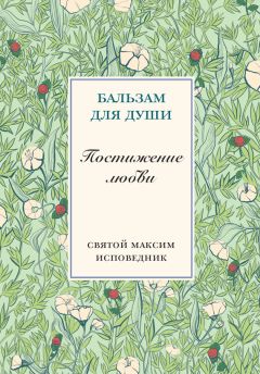 Преподобный Максим Исповедник - Постижение любви