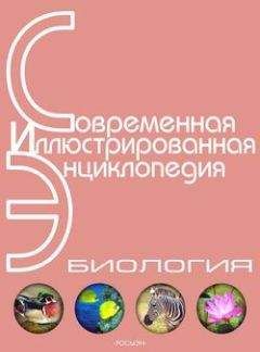 Анатолий Кондрашов - Новейшая книга фактов. Том 1. Астрономия и астрофизика. География и другие науки о Земле. Биология и медицина