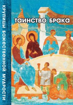 Андрей Ткачев - Созревшие нивы. Жизнь в Церкви