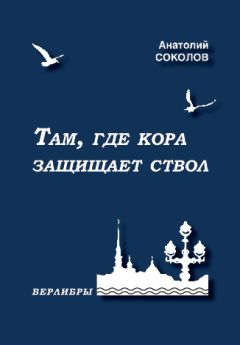 Анатолий Соколов - Там, где кора защищает ствол