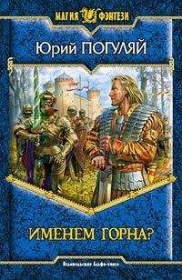 Юрий Погуляй - Братство Чародеев