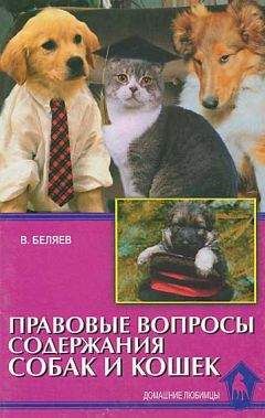 Линиза Жалпанова - Персидские кошки