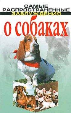 Александр Санин - Пойми друга. Справочник по поведению собак